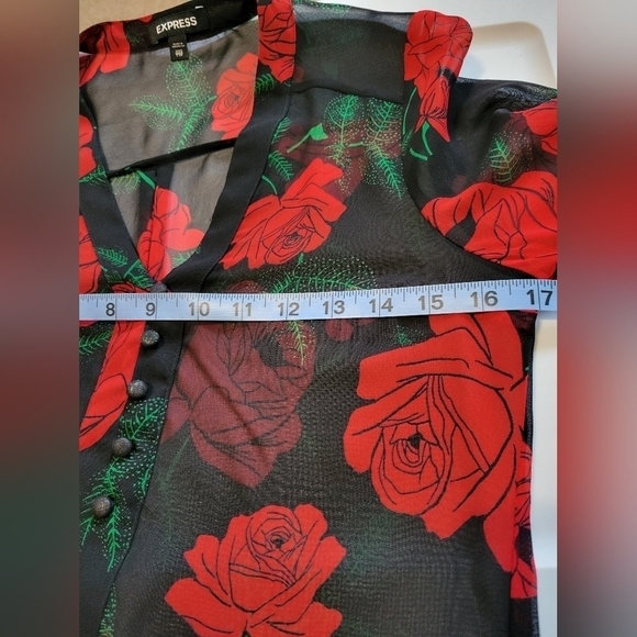 Express Rose Print Sheer V-neckline Long Sleeve Blouses Size XXS - Picture 8 of 9